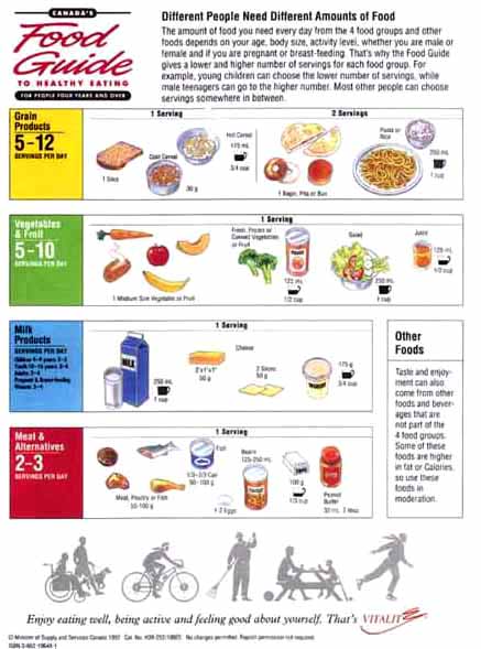 The Canada Food Guide